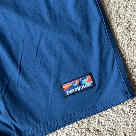 Patagonia Wavefarer Blue 10” Swim Trunks - Picture 3 of 8